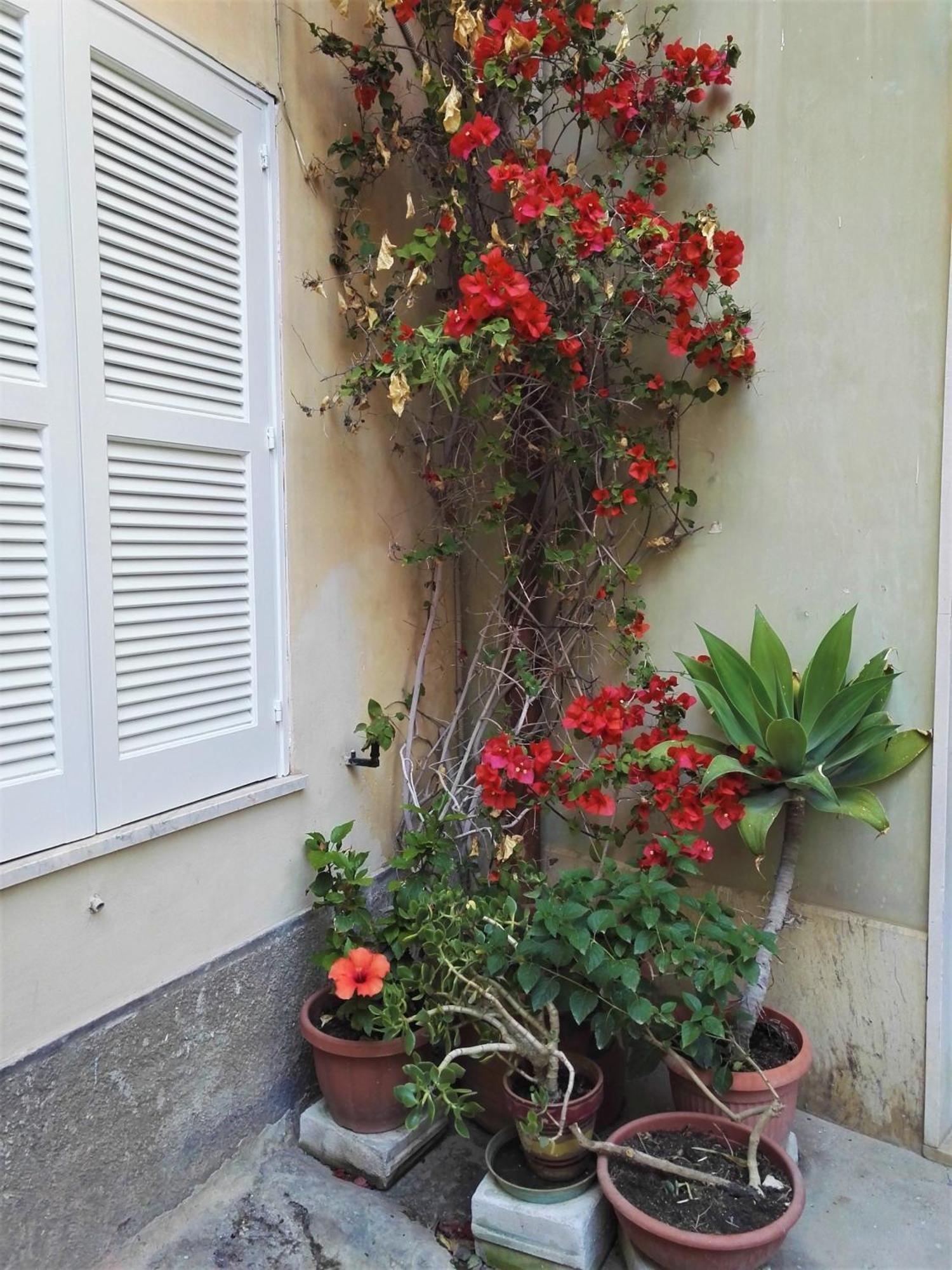 Aloha House Ortigia Villa Syracuse Ngoại thất bức ảnh